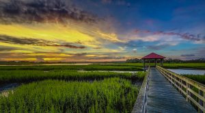 Beaufort Marsh at Sunset